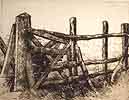 Collapsed Gate 