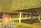 The Stilt Garden, Hidcote