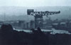 Crane
