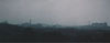 Morning Mist