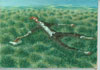 Untitled (man lying on grass)