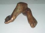 Feet
