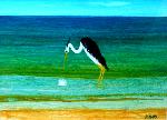 Heron Fishing